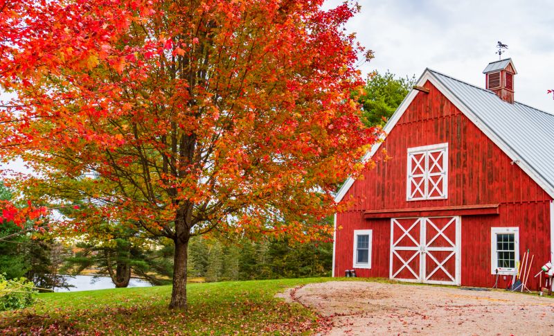 Barn Demolition in Fall