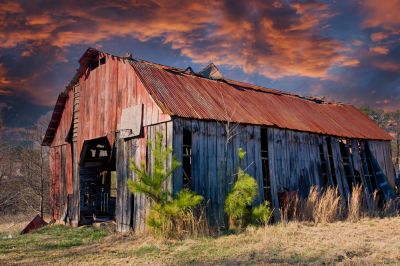 Restoration possibilities